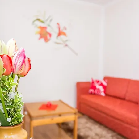 Ana Apartment