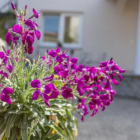 Διαμέρισμα Ana